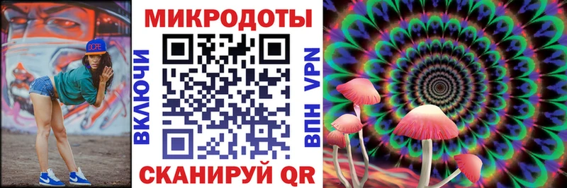 Псилоцибиновые грибы Cubensis  Северск 
